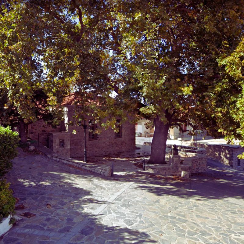 adelfia_2