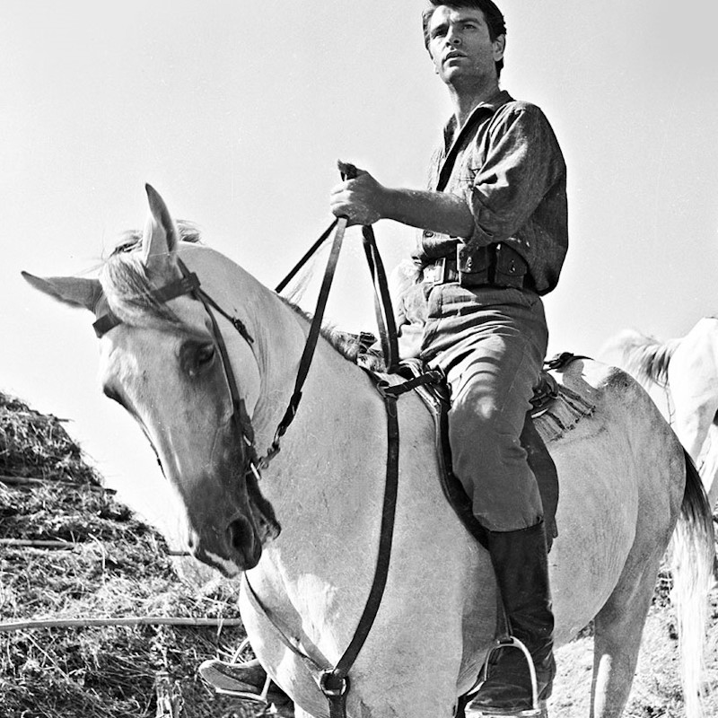 redford2